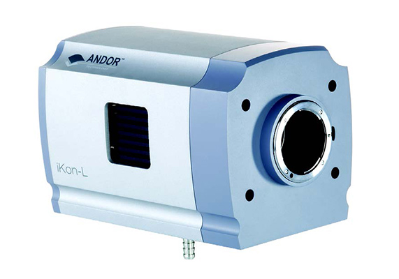 科學(xué)級CCD相機 iKon-L 936